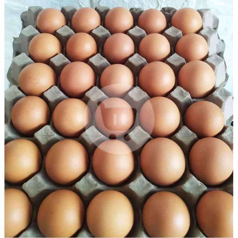 Telur Ayam Negri 1kg